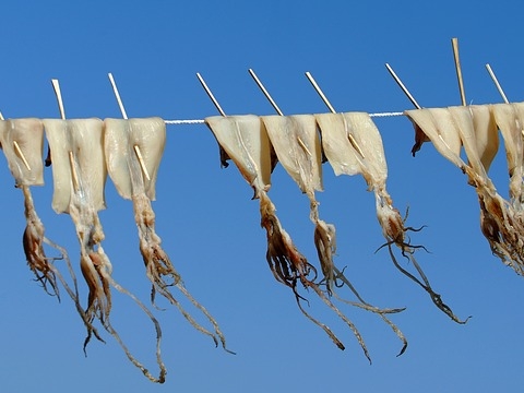 인천시, 수산업·어촌 발전 로드맵 마련