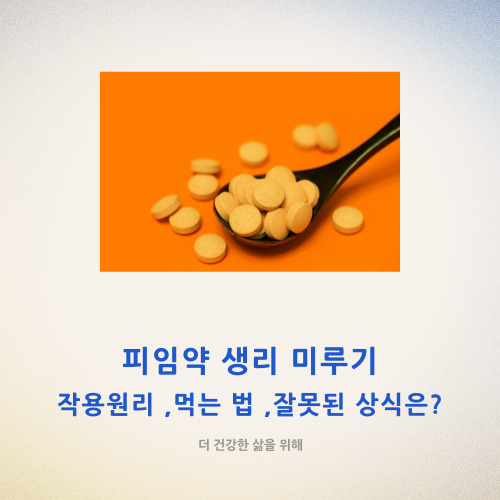 피임약 생리 미루기,작용원리,먹는법, 잘못된 상식은?