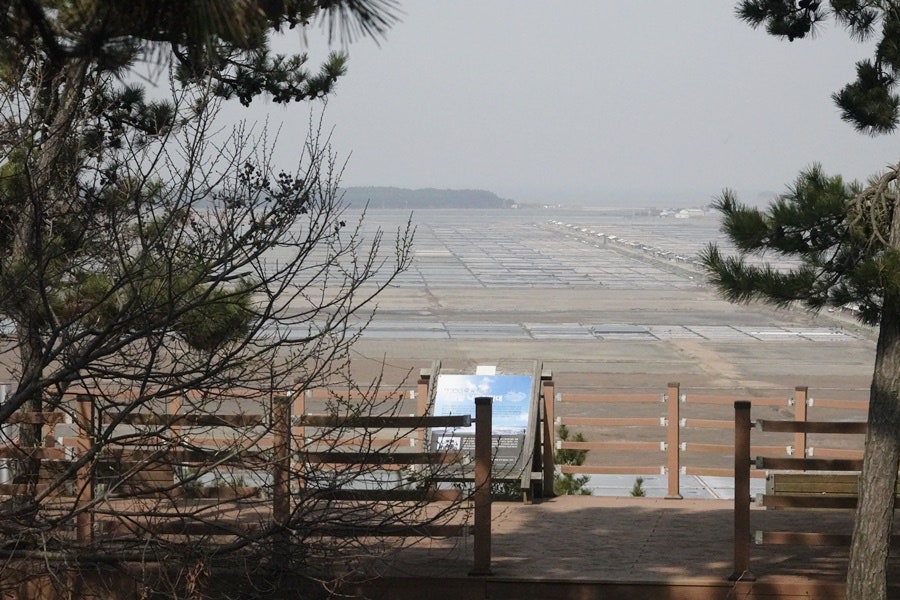 푸른솔펜션 사진 6