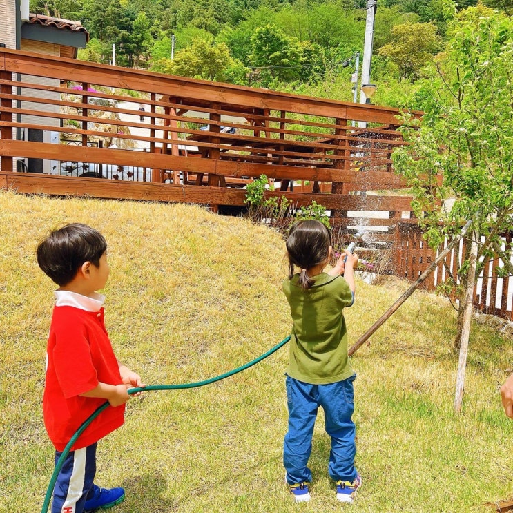  육아시간 연년생키우기 놀이학습하며 자연관찰하기