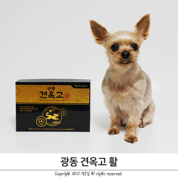 강아지영양제추천 광동 견옥고 활 기호성이 좋아요 강아지영양제추천 광동 견옥고 활 기호성이 좋아요