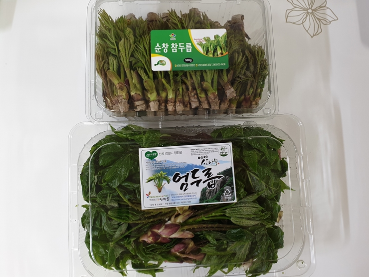 봄 5월 제철 음식 나물 순창 참두릅 양양 엄두릅 국순당 바밤바밤 쌀막걸리