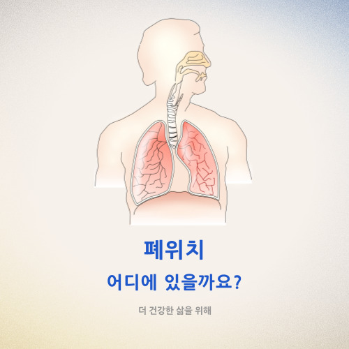  폐위치 어디에 있을까요?