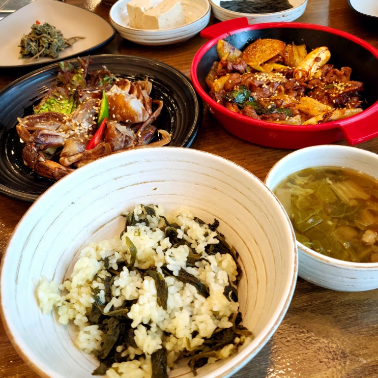 부천 맛집 "곤드레밥집"/ 부모님과 함께 가기 좋은 부천 중동 맛집/ 맛과 건강을 모두 잡은 신중동 맛집