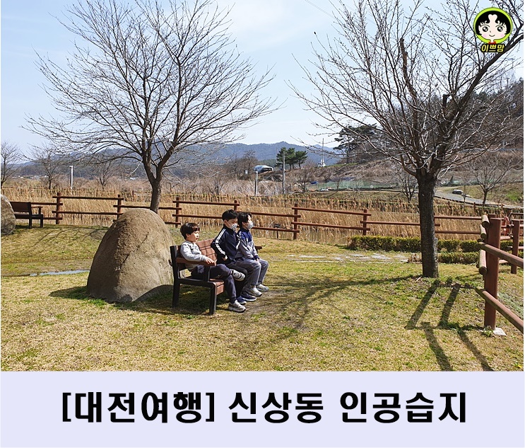  대전 아이와 가볼만한 곳 : 신상동인공습지 : 대전여행 대전 대청호