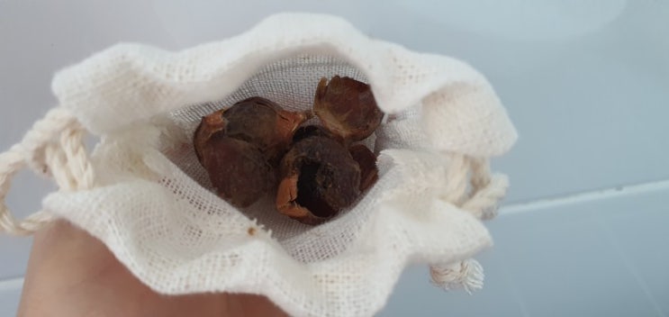  소프넛 / 천연 세제 / 솝넛 사용후기 사용방법 / 솦넛 / 비누열매 / soap nut
