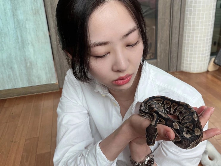 씨스타 출신 배우 김다솜, 손 위에 뱀 얹은 강심장 근황 "두 눈을 의심하게 했다"
