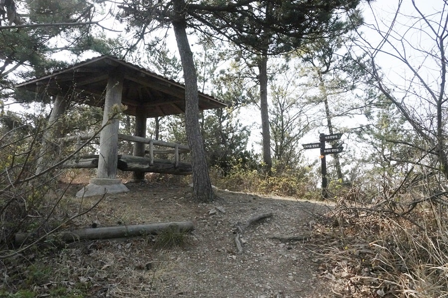 푸른솔펜션 사진 5