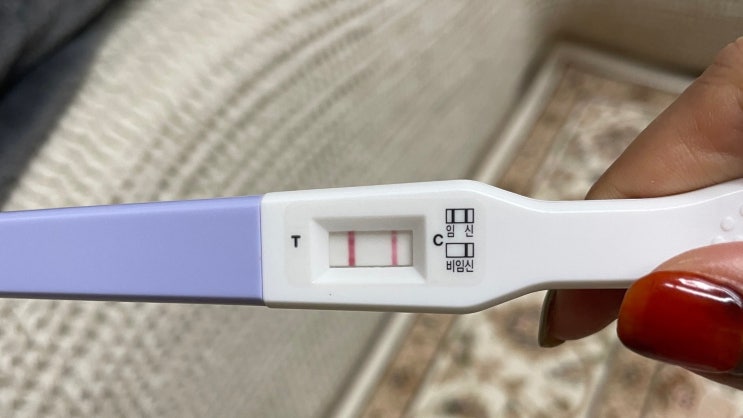  [임신 20주 차] 임신 7주~20주 차 그동안의 증상, 입덧, 주수 사진, 초음파, 성별 확인