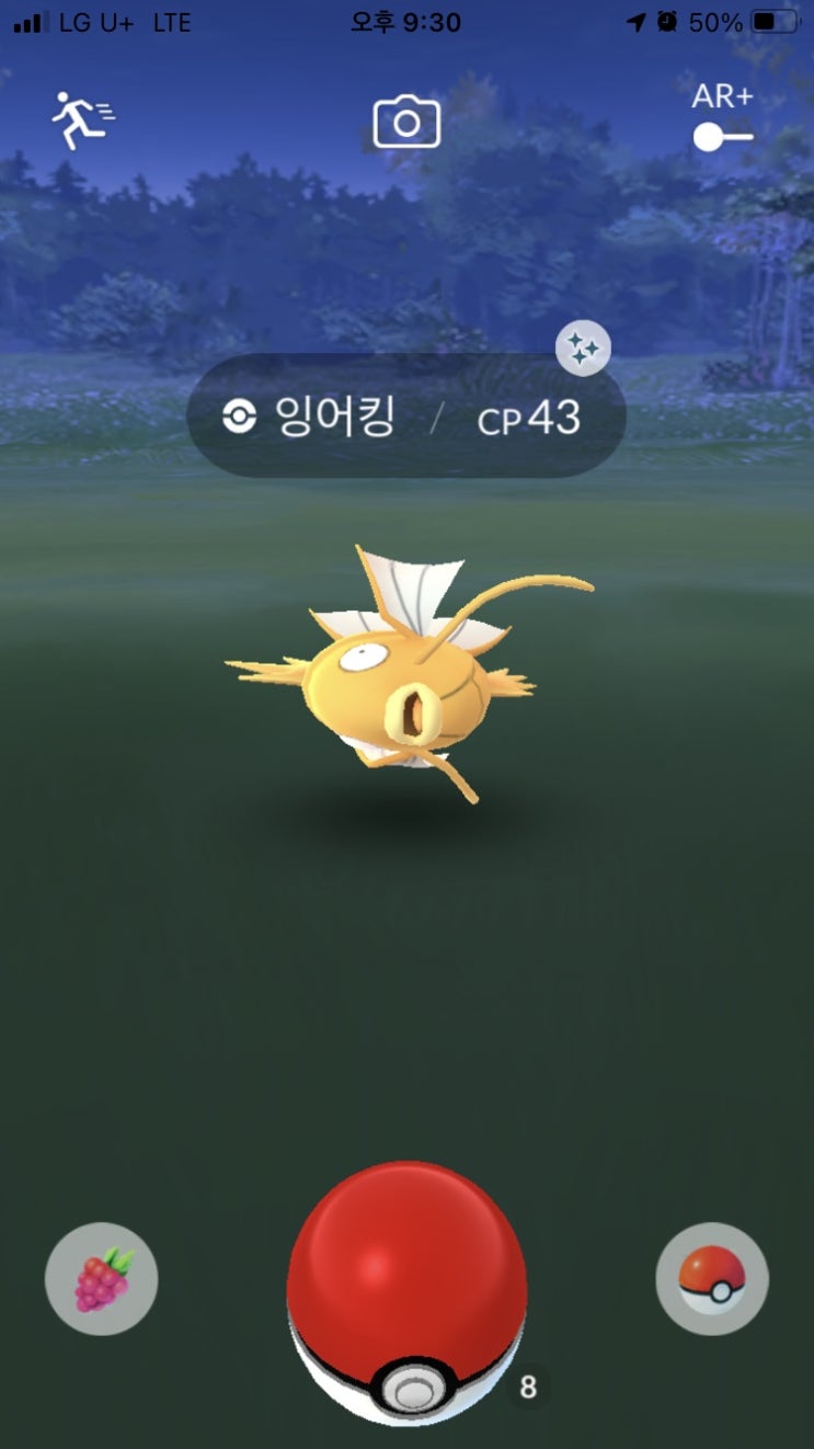  간만에 잉어킹 이로치!