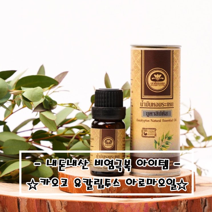  (#내돈내산) #비염 극복방법 #카오코아로마오일