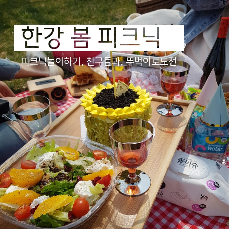  뚜벅이의 피크닉 도전기(반포 한강공원)