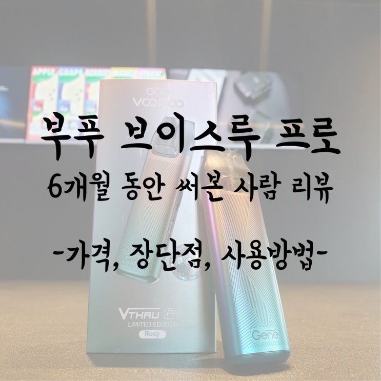  부푸 브이스루프로 전자담배 6개월 사용기 가격과 누수, 장단점 위주