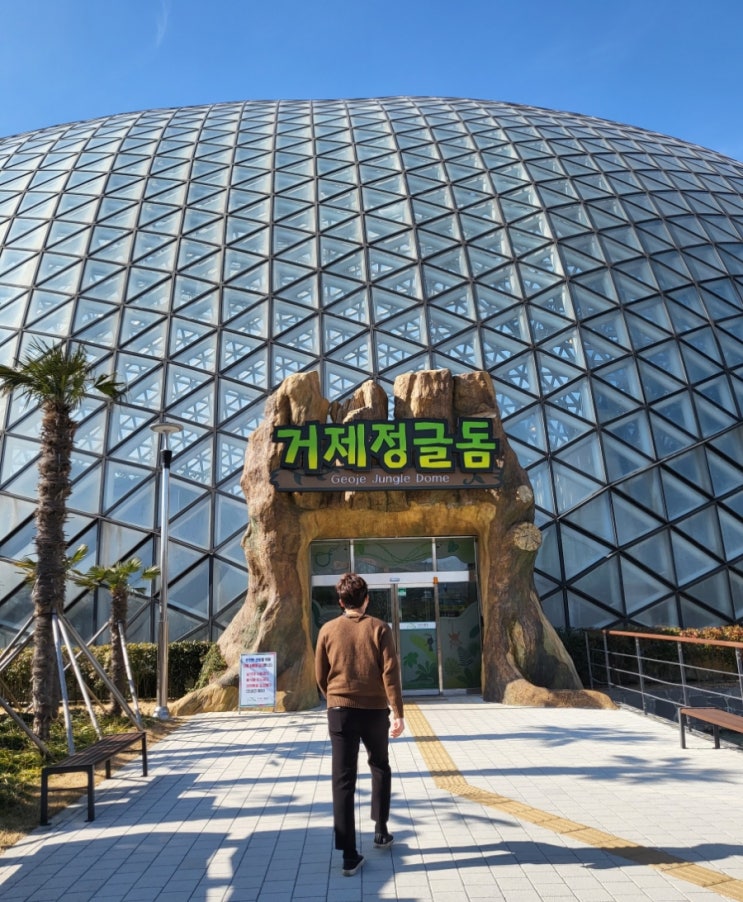  거제여행/정글돔/아일랜드 풀빌라 펜션/거제가볼만한곳추천/거제숙박추천/거제숙소/거제풀빌라/거제펜션/거제정글돔/정글타워/정글돔정글타워