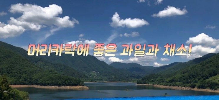 머리카락에 좋은 과일과 채소! 머리카락에 좋은 과일과 채소!