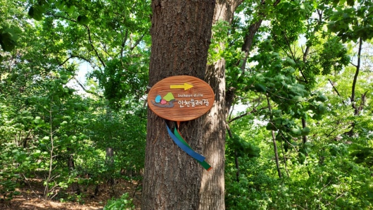  [인천/부평] 둘레길 가벼운 산책 비타민길