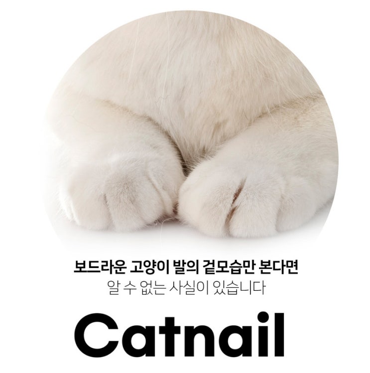 제품명은 캣네일 안전박스커터 catnail safe box cutter