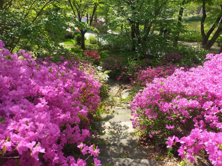  부처님오신날을 앞둔 주말의 봉선사(奉先寺) 풍경