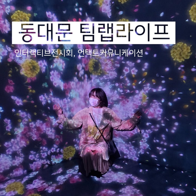  팀랩 라이프 전시회(DDP 동대문)