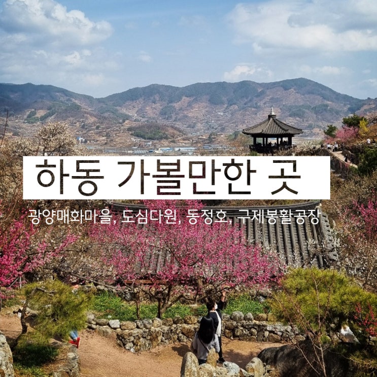  친구들에게 극찬 받은 하동 여행 하루코스