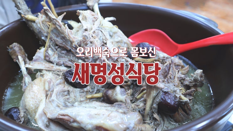 [삼랑진 맛집] 밀양 오리백숙 몸보신 '새명성식당'