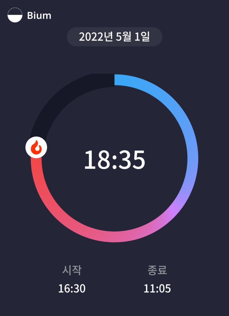 [간헐적 단식 16일차] 무릎에 무리 안 가는 10분 엉뽕 운동 추가