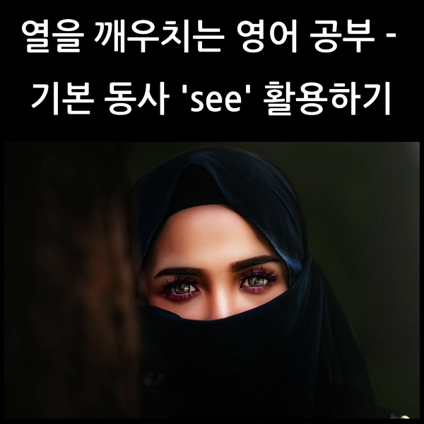  기본 동사 100% 활용하기 - 'see'