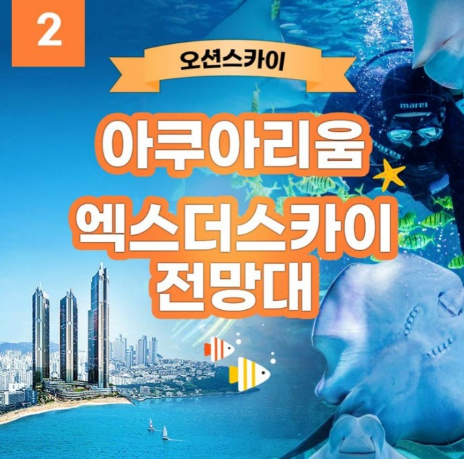 [원더 할인 쿠폰2] 부산 아쿠아리움 + 엑스더스카이 전망대 / Busan Aquarium + X The Sky Observatory