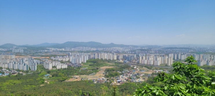  수원 칠보산 239m