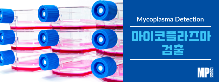 [TECH NOTE] Mycoplasma Detection (마이코플라즈마 오염 - 검출방법)