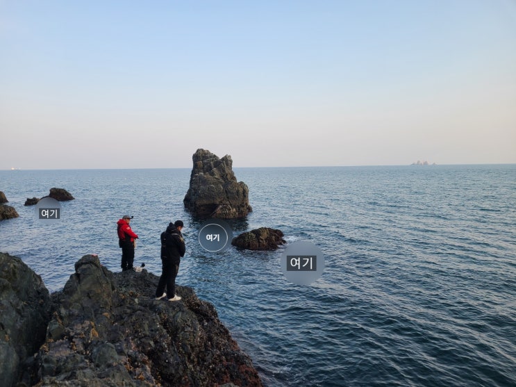  거제도 스타피싱 거제도 볼락루어 낚시