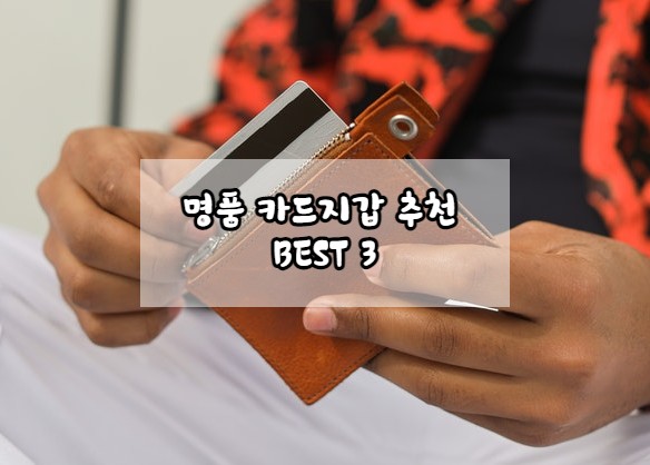  20만원대 명품 카드 지갑 추천 BEST3