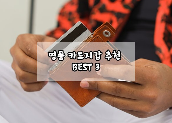 20만원대 명품 카드 지갑 추천 BEST3