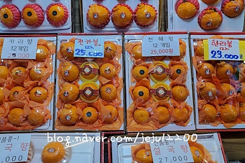 오늘청과2 이미지