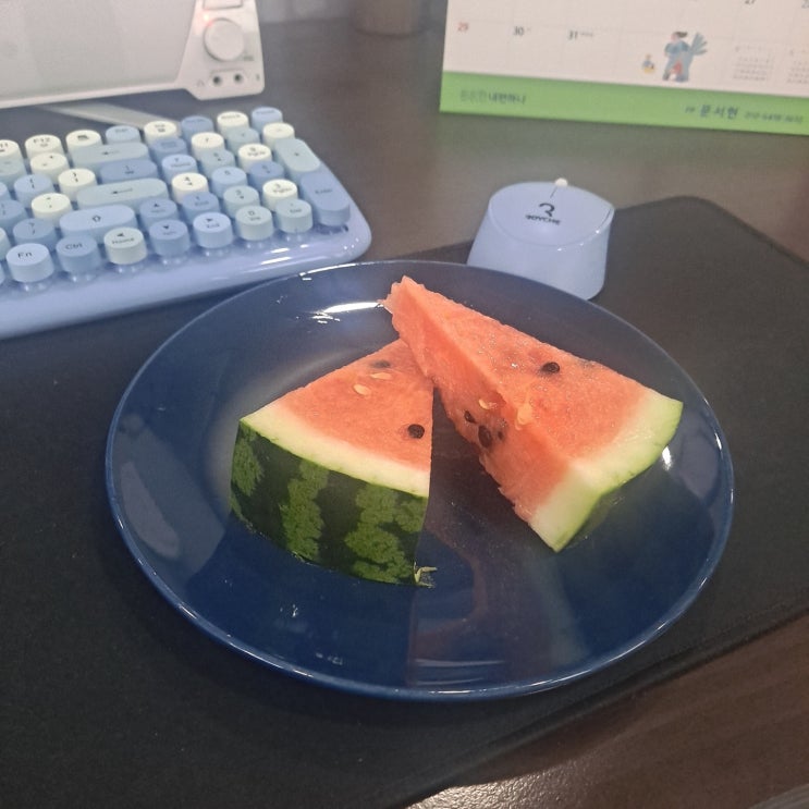  파랑파랑 어울려