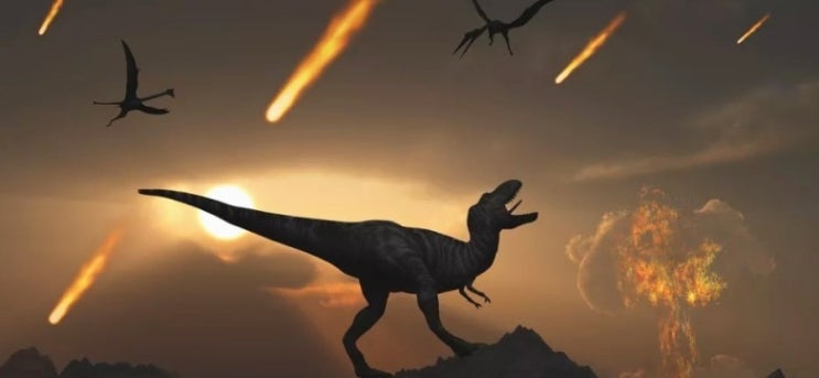 바퀴벌레는 공룡을 멸종시킨 운석 충돌에서 어떻게 살아남았을까?