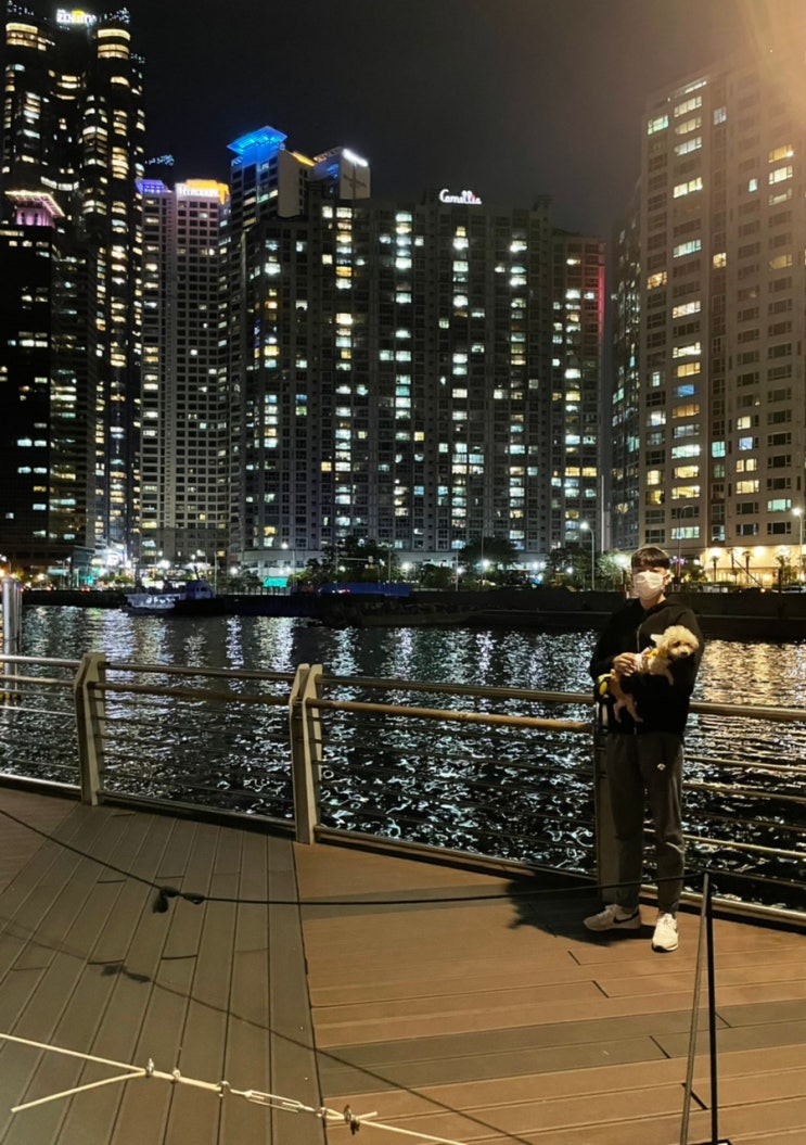  [반려견여행] 강아지부산여행 강아지부산산책 더베이 해운대동백공원