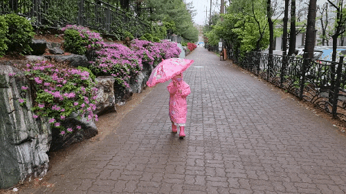 비오는 날, 걸어서 가는 유치원이 좋아