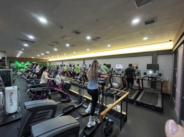  사우나 있는 세상 넓은 연희동 헬스장 스타칼리휘트니스 연희점