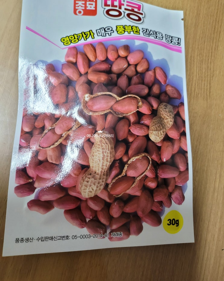  옥상에서 땅콩 심어 키우기