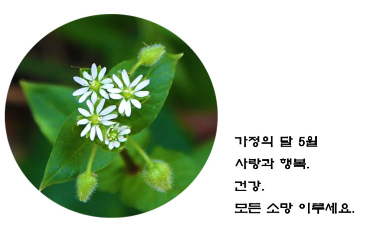  5월은 가정의 달. 마스크 의무 착용 해제 시작