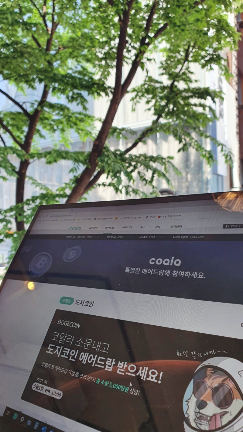 코인 커뮤니티 코알라(coala) 100% 당첨 상장 코인 이벤트! 도지코인 5,000만원 에어드랍 : 네이버 블로그