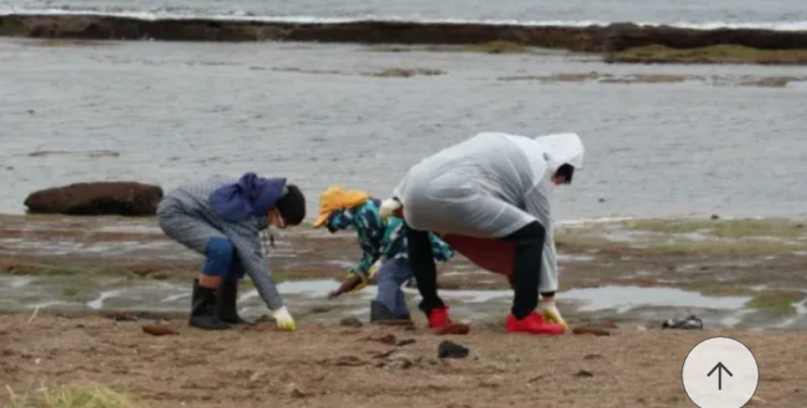 줍깅 같은 일회성 자원봉사자도 자원봉사종합보험으로 보호한다