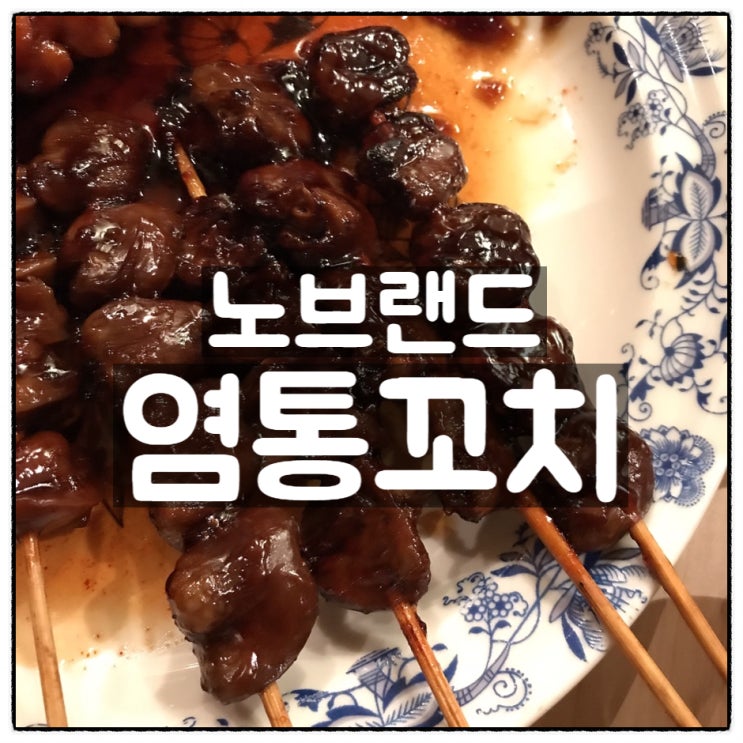  노브랜드 숯불데리야끼 닭꼬치 염통꼬치 시식후기