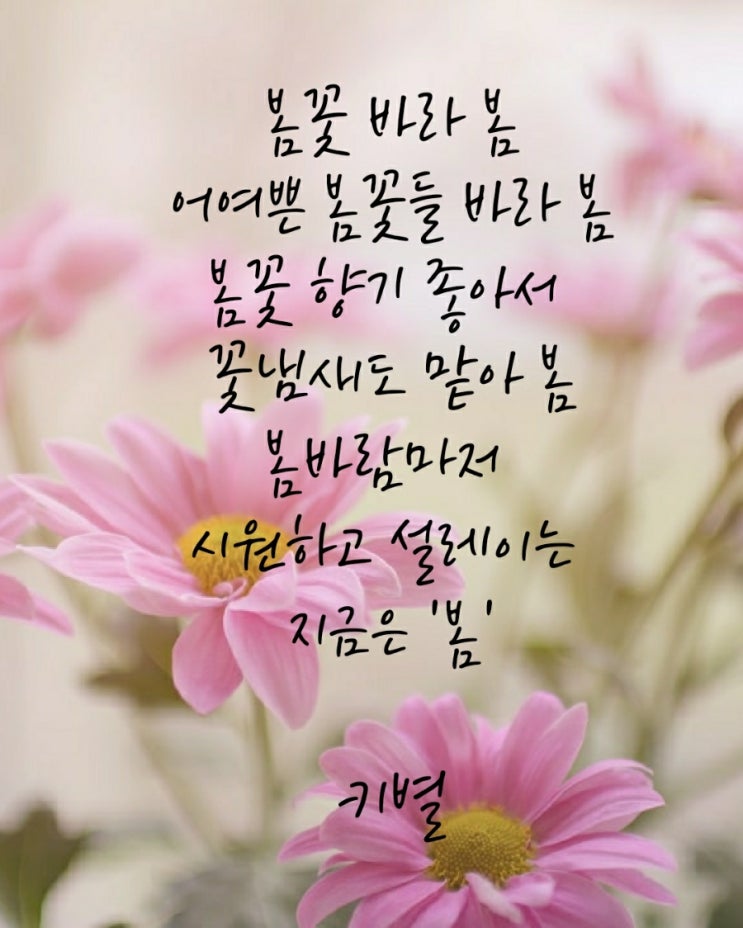  봄/봄꽃(감성)(인생)(삶)(계절)(마음)(행복)(글귀)(키별)