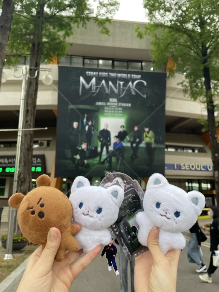 스트레이키즈 콘서트 후기*•¸¸.• : 첫콘, 막콘