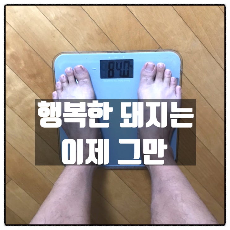 다이어트 돌입 행복한 돼지는 어제까지 다이어트 돌입 행복한 돼지는 어제까지