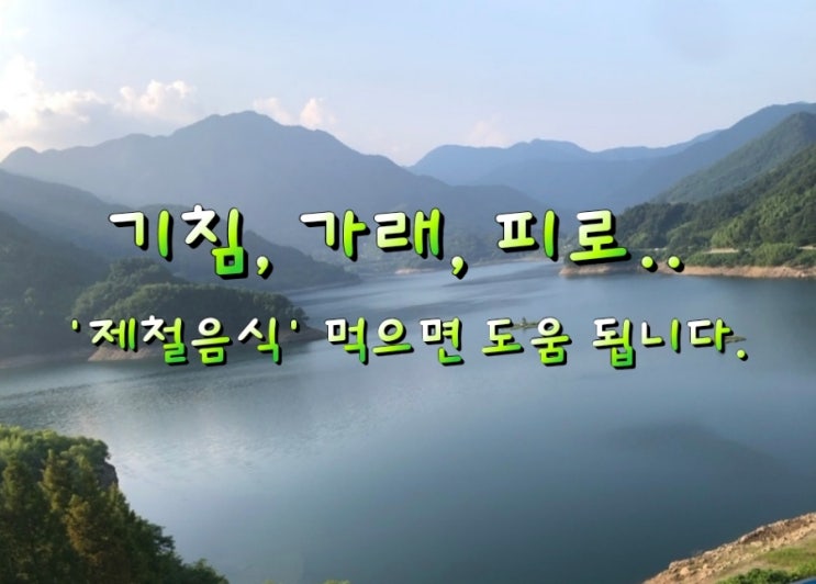 기침, 가래, 피로,기관지염증 등. '제철음식' 먹으면 도움 됩니다. 기침, 가래, 피로,기관지염증 등. '제철음식' 먹으면 도움 됩니다.