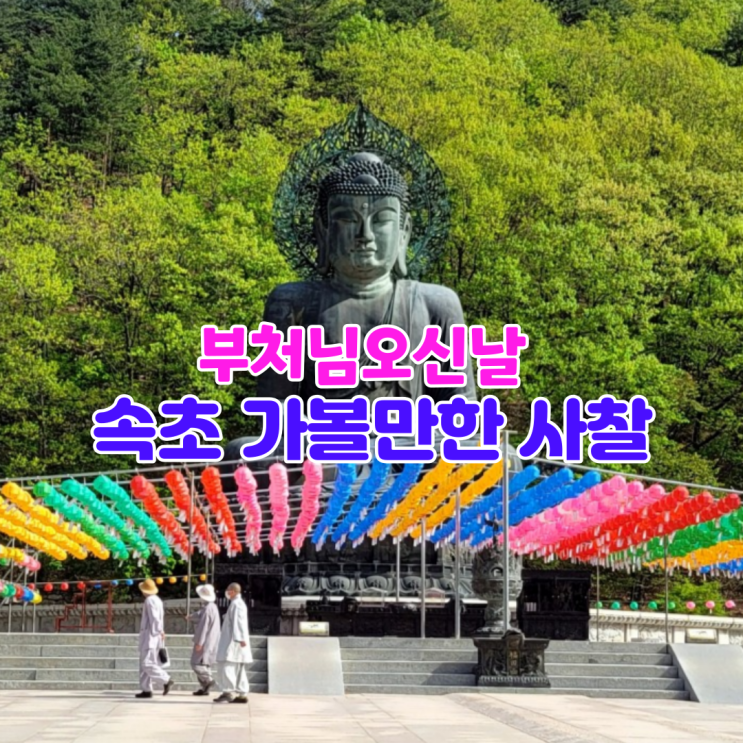 부처님 오신날 석가탄신일 속초 가볼 만한 절 (사찰) 신흥사 외 3곳 부처님 오신날 석가탄신일 속초 가볼 만한 절 (사찰) 신흥사 외 3곳