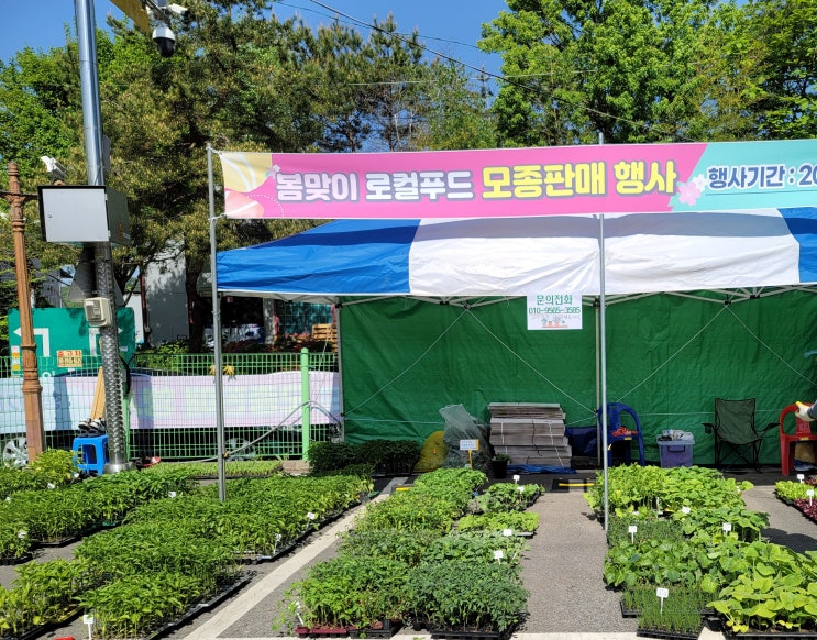  모든 종류의 모종이 많이 모여 있는 화성 로컬푸드